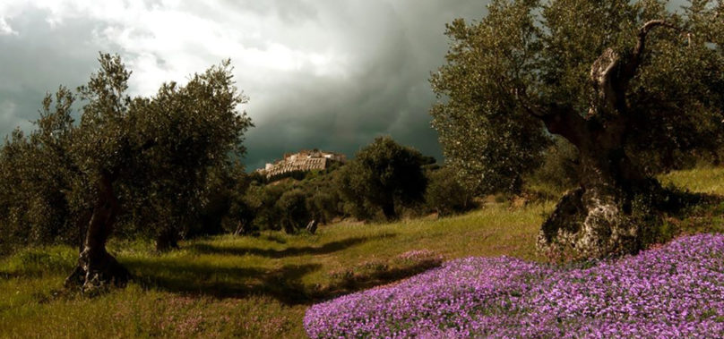 Basilicata – Girolio Italia arriva per la prima volta a Ferrandina patria della majatica.