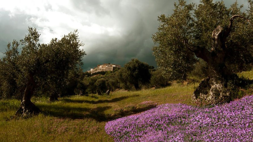 Basilicata – Girolio Italia arriva per la prima volta a Ferrandina patria della majatica.