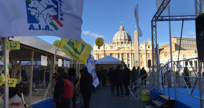 Roma – Benedizione degli animali al Vaticano per la festa di Sant’Antonio Abate. Video