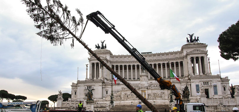 Video – Roma, Addio a Spelacchio. Il taglio dell’abete dopo 12 ore di lavoro.